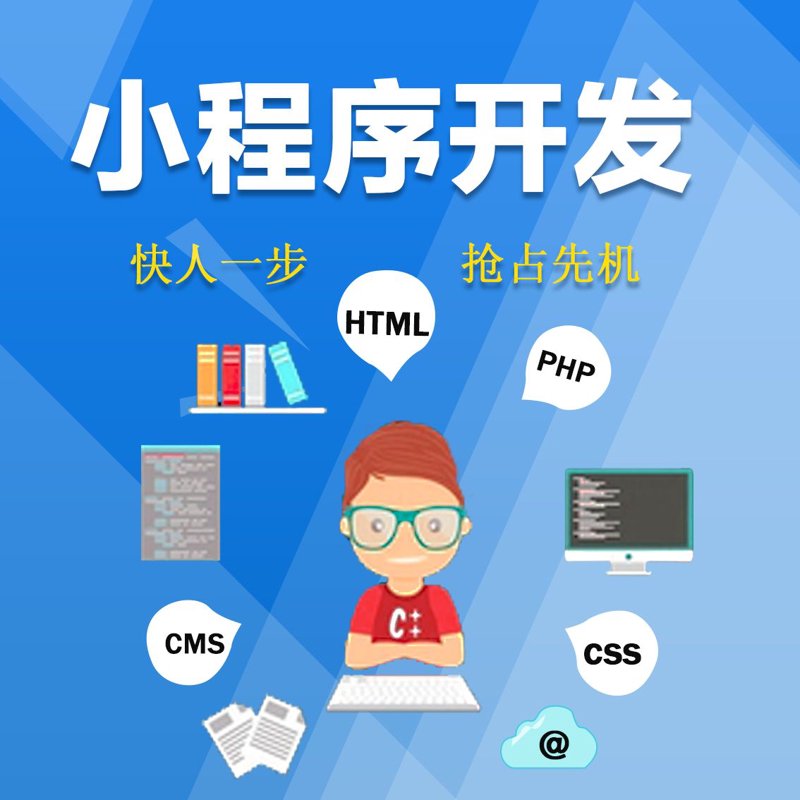 小程序定制：构建高效便捷的移动应用新路径